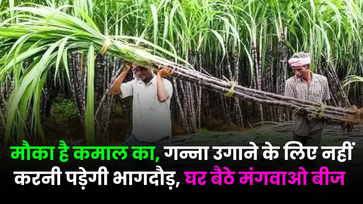 Smart Ganna Kisan Portal